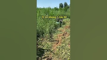 Máy băm cỏ robot đường kính băm 60cm, chạy động cơ dầu Yuchai 190