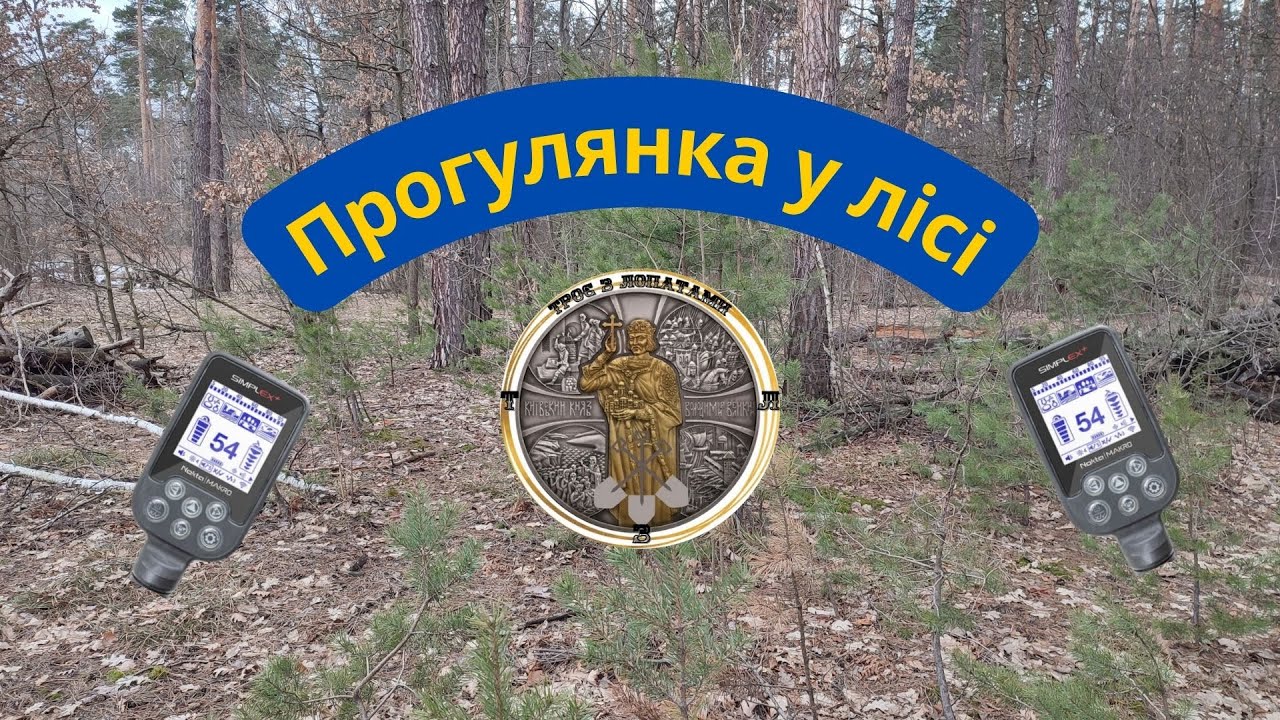Прогулянка у лісі. Коп з Nokta makro simplex + (нокта макро сімплекс ...