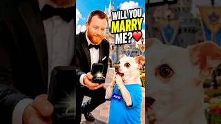 I Ask My Dog To Marry Me #funnydogs #viralshorts #foryoupage #trending