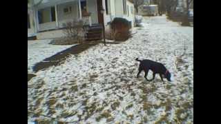 104 Hazel St. video tour