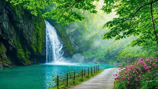 Calming Music to Heal the Heart🌿 Nature Sounds for Stress Relief, Deep Sleep Healing screenshot 5