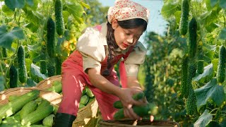 Harvesting Cucumbers – Bringing them to the Village Market in the Morning