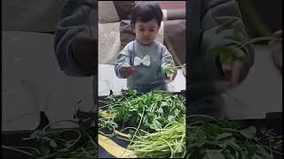 Hands on experience.. #relaxingmusic #cutebaby #cutebabystatus #viral