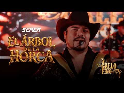 El Gallo Fino - The Gallows Tree ( Official Video )