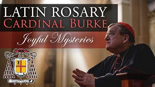 Pray the Rosary in Latin with Cardinal Burke (Joyful Mysteries)