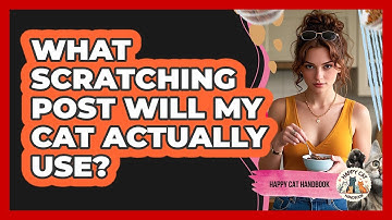 What Scratching Post Will My Cat Actually Use? - Happy Cat Handbook