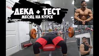 ТЕСТОСТЕРОН И ДЕКА, МЕСЯЦ НА КУРСЕ, НАДРЫВ ГРУДИ | Горносталь Максим