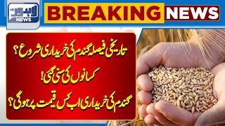 At What Price Will Wheat Be Purchased Now? Lahore News Hd