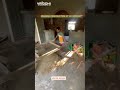 Build your dream home