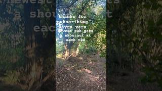 compilation of nature photos
