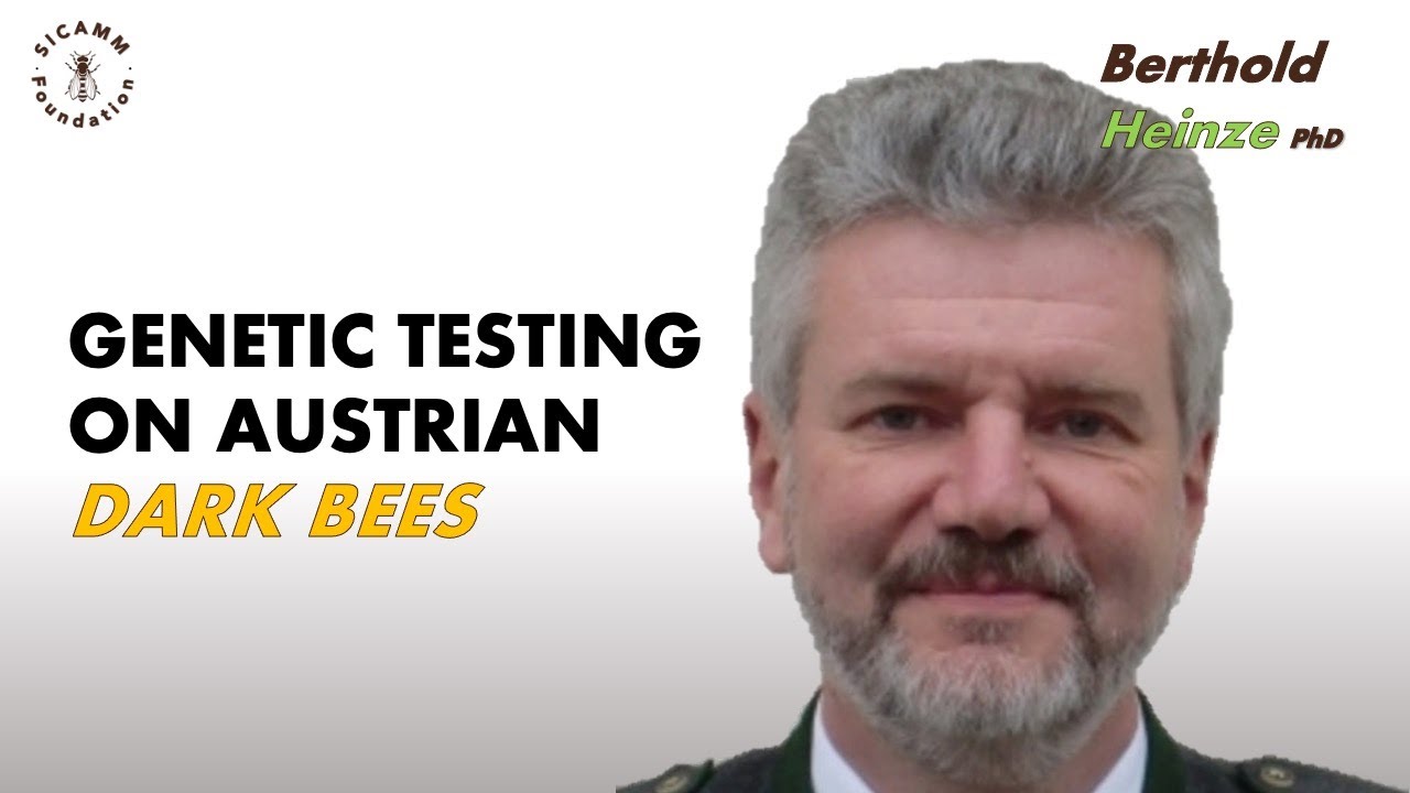Berthold Heinze - Genetic testing of Dark Bees in Austria