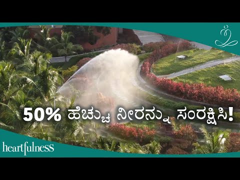 ಈ ಹೊಸ ವಿಧಾನದ ನೀರಾವರಿ ವ್ಯವಸ್ಥೆಯು ಕೃಷಿಯನ್ನು ಬದಲಾಯಿಸುತ್ತಿದೆ