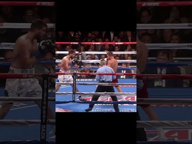 Жестокий удар по корпусу от Канело #бокс #boxing #top #актуально