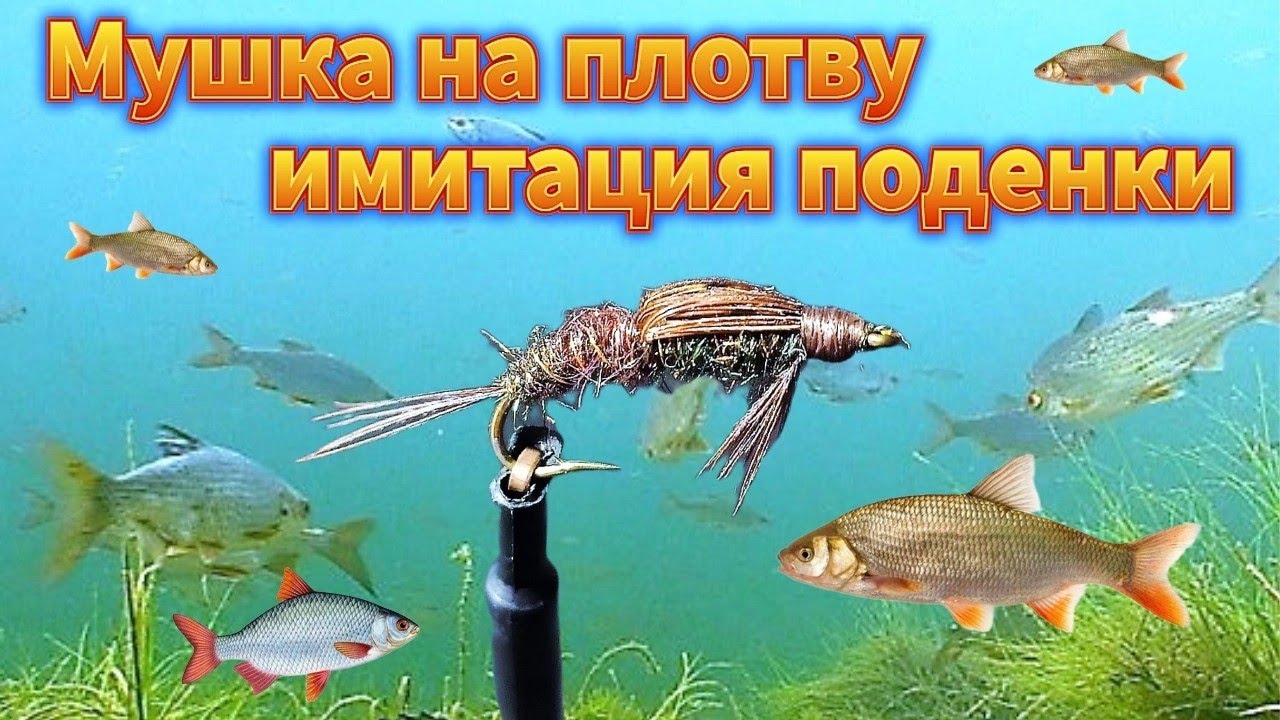 Мушка на плотву имитация поденки.