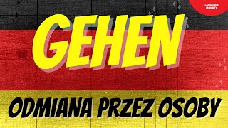 To go in German is to GEHEN | Conjugation of the verb by person. Learning GERMAN example sentences. screenshot 5