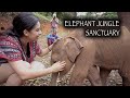 Elephant Jungle Sanctuary | Chiang Mai, Thailand