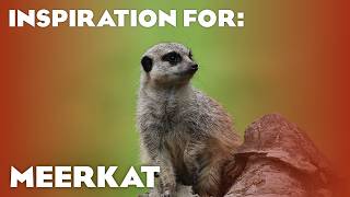 100+ Real Meerkat Habitats! (Planet Zoo Inspiration)
Its finally here, the ULTIMATE source for Meerkat inspiration! Join me today as we look at 105 rea life Meerkat habitats. Were starting off with some of my favorites, most inpsiring or most unique habitats, followed by every mixed species enclosure and we end by looking at everything else. Hope you enjoy!
00:00:00 Intro
00:00:52 Burgers Zoo
00:01:33 Wildlands
00:02:36 Zoom Erlebniswelt
00:03:29 Safari Park Dvůr Králové
00:04:16 Zoo Zlín
00:04:40 GaiaZOO 1
00:05:47 Zoo Antwerpen 1
00:06:33 Aalborg Zoo
00:07:15 Zoo Hannover
00:08:09 Cologne Zoo
00:08:48 Zoo Rostock
00:09:47 Safaripark Beekse Bergen (old)
00:10:56 Zoo Krefeld
00:12:29 Zoo Jihlava
00:13:09 Zoo Dortmund
00:13:47 Vogelpark Avifauna
00:14:16 ZooParc de Beauval 1
00:14:43 Zoo Berlin
00:15:07 Tierpark + Fossilium Bochum
00:15:39 Wonderwereld Ter Apel
PORCUPINE MIXED ENCLOSURES:
00:16:71 GaiaZOO 2
00:16:51 Almere Jungle
00:17:50 Harry Malter
00:18:16 Zoo Heidelberg
00:19:03 Zoo de Lille
00:19:44 Pairi Daiza (Land of Origins)
00:20:06 AlwetterZoo Münster
BAT-EARED FOX MIXED ENCLOSURES:
00:21:08 Safaripark Beekse Bergen (new)
00:22:38 Parc Zoologique de Paris
00:23:32 Pairi Daiza (Edenya)
PORCUPINE & BAT-EARED FOX MIXED ENCLOSURES:
00:24:00 ZooParc de Beauval 2
00:25:11 Bioparc - Zoo de Doué la Fontaine
YELLOW MONGOOSE MIXED ENCLOSRUES:
00:26:20 Tiergarten Delitzsch
00:26:36 Tierpark Nordhorn
00:27:34 Tiergarten Nürnberg
00:28:40 Skærup Zoo
TORTOISE MIXED ENCLOSURES:
00:29:23 Pantropica
00:29:57 Antwerp 2
00:30:25 Terrariet Reptile Zoo
00:30:55 Tier- und Freitzeitpark Thüle
OTHER MIXED ENCLOSURES:
00:31:45 Tiergarten Schönbrunn (King Colobus)
00:32:56 Ouwehands Dierenpark (Gorilla Adventure)
00:33:53 Artis (Gorillas & Oryx)
00:34:43 Pangea Park Falster (Lemur)
REMAINING ZOOS:
00:35:25 Ouwehands 2
00:36:17 Dierenpark Zie-Zoo
00:37:01 Kabouterland
00:37:31 Zoo Brno
00:38:05 Zoo Leipzig
00:38:27 Zoo Frankfurt
00:28:52 Zoo Karlsruhe
00:39:30 Zoo Magdeburg
00:40:22 Zoo Praha
00:40:54 Wilhelma (Stuttgart)
00:41:18 Diergaarde Blijdorp
00:42:27 Zoo-Duisburg
00:42:53 Zoo Osnabrück
00:43:38 Pairi Daiza (Oasis)
00:44:43 Zoo Olomouc
00:45:30 Zooparc Overloon
00:46:13 Tierpark Alsdorf
00:46:49 Eindhoven Zoo
00:47:11 Opel Zoo
00:47:36 Mappa Mundia
00:47:49 Zoo Halle
00:48:12 Dierenpark Hoenderdaell
00:48:31 Zoo Schwerin
00:49:00 De Zonnegloed
00:49:18 Boederij Daalhoeve
00:49:42 Zoo Chorzów
00:50:02 Der Grüne Zoo Wuppertal
00:50:24 Aachener Tierpark
00:50:53 Tiergarten Staßfurt
00:51:16 van Blanckendaell Park
00:51:32 Emsflower
00:51:58 Dublin Zoo
00:52:19 Tabor Zoo
00:52:44 Zoo Kleve
00:53:04 Mondo Verde
00:53:20 Zoo Na Hrádečku
00:53:29 Zoo Hluboká
00:53:40 Tierpark Fauna
00:54:12 Zoo Liberec
00:54:35 BestZoo
00:55:14 Uilen- en Dierepark de Paay
00:55:37 Serengeti-park Hodenhagen
00:55:50 TerraZoo Rheinberg
00:56:01 Pakawi Park
00:56:27 Faunapark Flakkee
00:56:51 Sanjes Safari
00:57:40 Texel Zoo
00:58:06 ZooPark Stezery
00:58:24 Zoo Hodonin
00:58:37 Kleindierpark
00:58:48 Zoo Veldhoven
00:59:04 Dierenpark de Oliemeulen
00:59:39 Zoo Chleby
01:00:12 Artis (old)
01:00:32 Klein Costa Rica
01:01:04 Zoo Dvorec
01:01:16 SUMMARY
You can check out my Steam Workshop Submissions here: https://steamcommunity.com/id/justGoron/myworkshopfiles/?appid=703080
Become a member! https://www.youtube.com/@justGoron/join
Twitter me @justGoron!
Check out my second channel: https://www.youtube.com/user/Goronstuff
Join my discord server: https://discord.com/invite/32xFNxkg8H 100+ Real Meerkat Habitats! (Planet Zoo Inspiration)