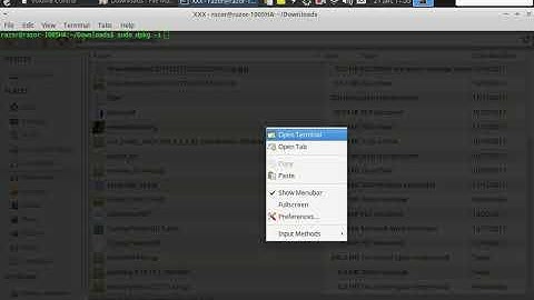 How to install with terminal using dpkg -i