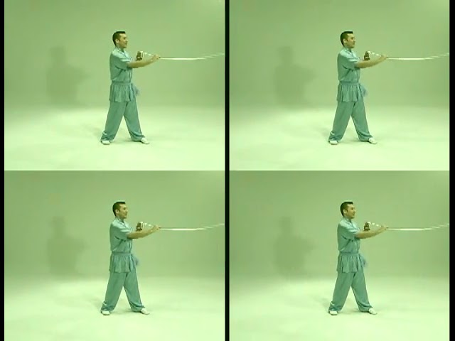 Wushu Rope Dart / Meteor Hammer 