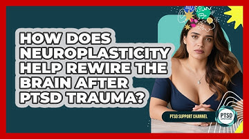 How Does Neuroplasticity Help Rewire The Brain After PTSD Trauma? - PTSD Support Channel