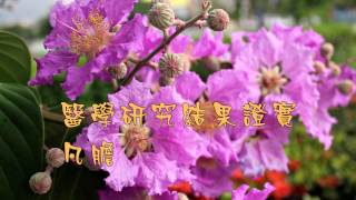 1030709讓女性補鈣健骨的食物