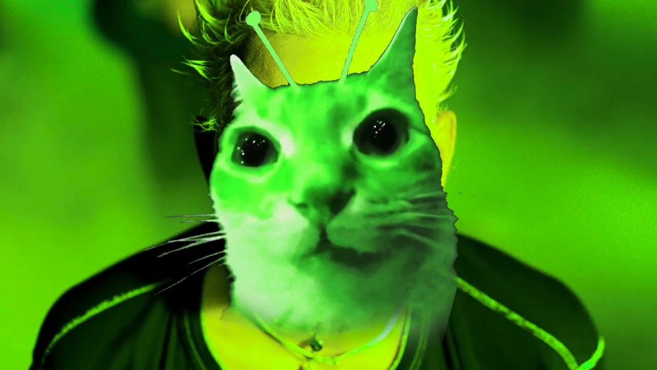 Alien Cat One Step Closer - Linkin Park