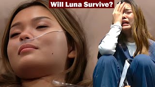 Luna Dies Again?!💔  B&B Delivers Another Heartbreaking Ending for Lisa Yamada