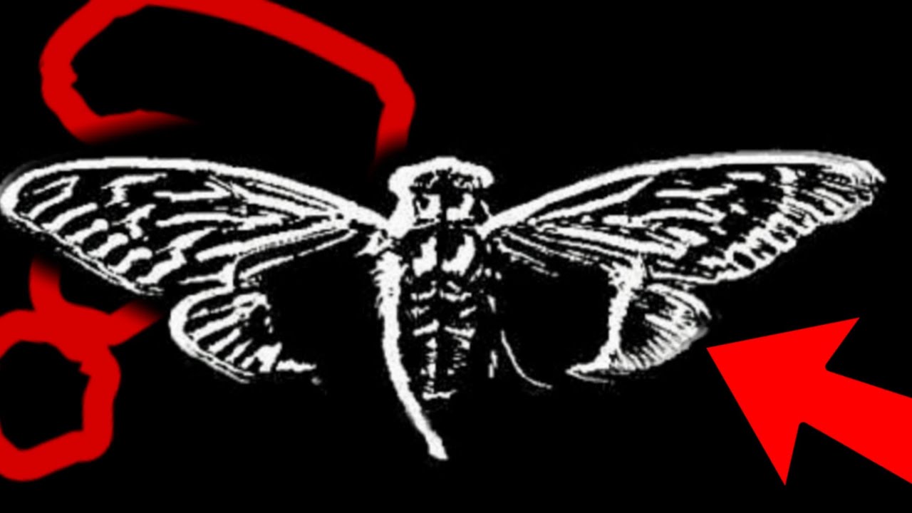 Czym Jest Cicada 3301 Mondar X Youtube Czym Jest Cicada 3301 Mondar X Youtube