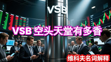 VSB    垂直供应柱///《掌握 VSB = 加密 K 线猎手：多空进出全攻略》