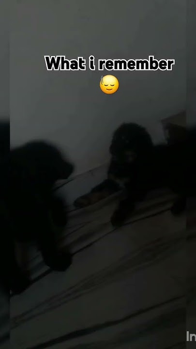 Miss You Tiger Taffy And Me Is Totally Feel Sad Without You miss-you-tiger-taffy-and-me-is-totally-feel-sad-without-you