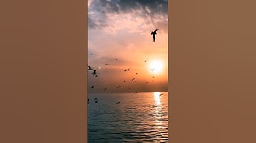 سورة آل عمران (194 : 195) ♥️