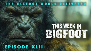 This Week in Bigfoot- (S1,E42) FULL EPISODE Profile