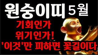 [원숭이띠 5월 운세] 운명을 뒤흔드는 대박 사건!｜이걸 모르고 지나치면 절대 후회합니다!｜대운의 흐름을 놓…