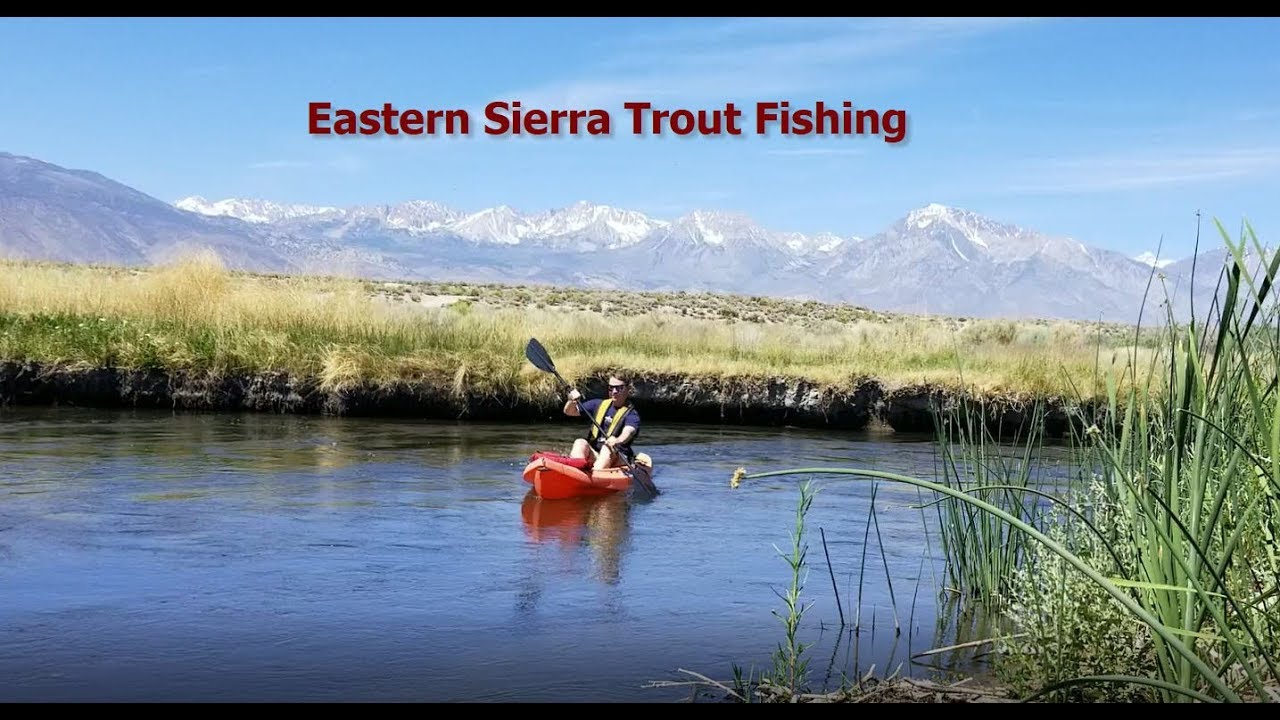 Eastern Sierra Trout Fishing YouTube
