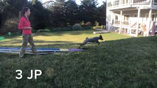 Running Dw Indi Top Spot 1.31.21