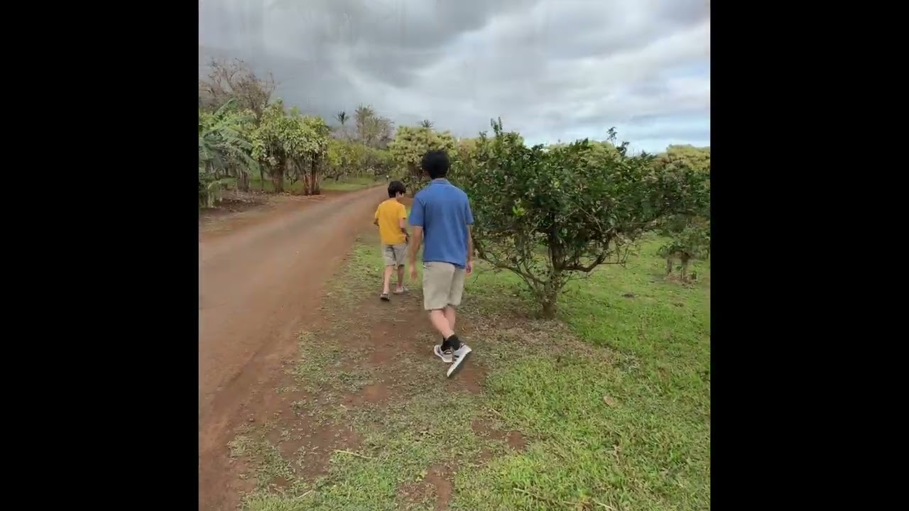 Rainbows, Dole Whip and Maui Tropical Plantation (Maui Trip Day 4a)