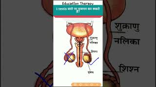 Ek Testis Hone Se Kya Hota Hai Visit Our Multi Tool Website - Httpsdeepfreetool.com