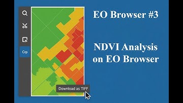 EO Browser #3 | NDVI Analysis on EO Browser