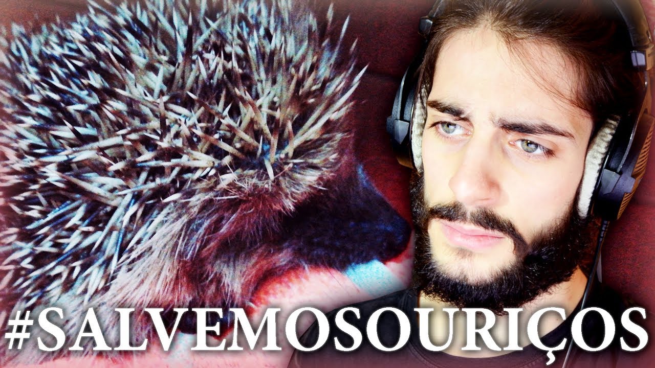 SALVEI UMA VIDA! | #Salvemosouriços