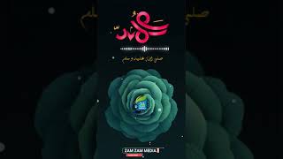 Rabee-ul-Avval | Zam Zam Islamic media #Short #Madeena #munavvara #Rabee_ul_avval