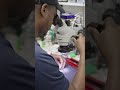iPhone Water Damage Repair in Newark NJ | Liquid Damage Fix