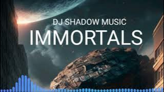 Immortals • DJ Shadow Music ( audio & Visualizer)
