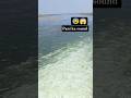 yadgir daam rever beautiful seens..#video #reverse #seens #beautiful #nadi #viral #water