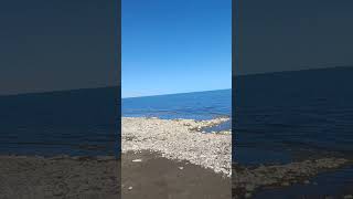 озеро Балхаш каменный пляж