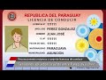 Aprueban acuerdo entre Paraguay y Chile de reconocimiento recíproco y canje de licencias de conducir