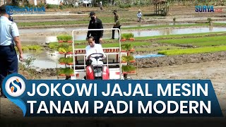 Ke Trenggalek, Jokowi Jajal Mesin Tanam Padi Modern di Sawah