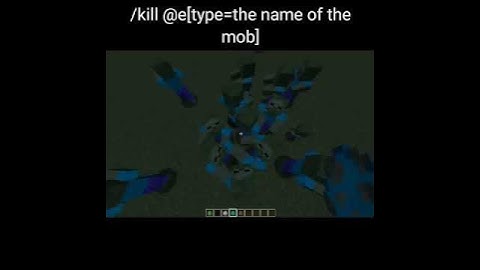 Kill all mobs using a command! [Minecraft]
