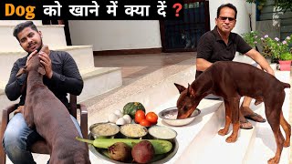 What To Feed A Dog ? | Best & Cheap Homemade Food For Dog | Johney  The Doberman