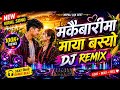 “मकैबारीमा माया बस्यो 🌽❤️ | New Nepali Lok Geet 2026 | Heart Touching Song 😢🔥”