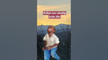 What non-duality looks like #nonduality #advaita